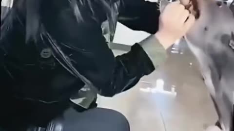 Funny videos 🤣