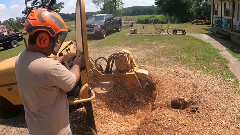 Nobody Home, Car in the Way… But This Stump Still Got Ground!