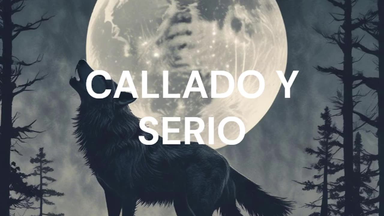 Callado y serio