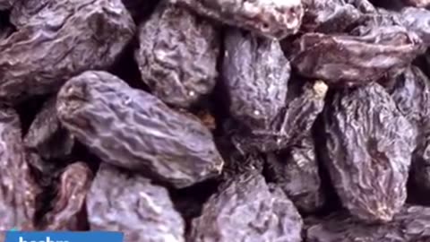 Health Benefits of Munakka