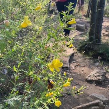 LISTEN TO AND TOUCH NATURE!