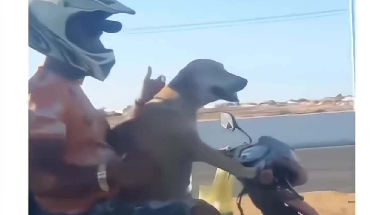 Funny