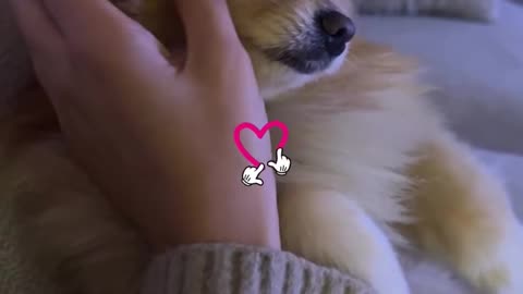 Andjela - Lilica - Snupi - 28.11.2025