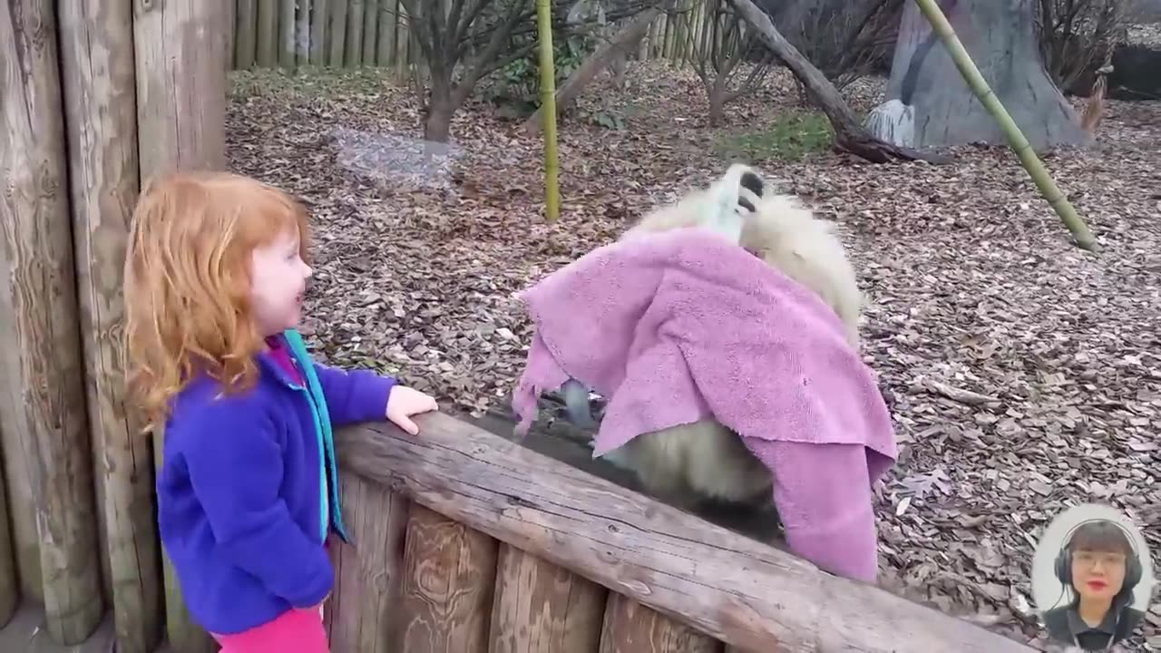 Animals and babies