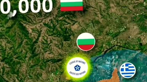 The War of the Stray Dog: A Curious Chapter in History