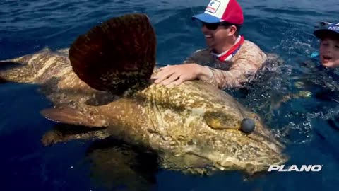 8 Year Old Catches OVER 1000lbs of Fish_part6