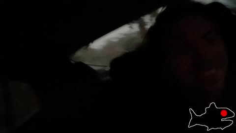 Fingering Sharp's nose after the night out | fish shack