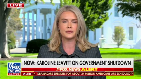 Press Sec Karoline Leavitt ⚡ Democrat leaders are completely reckless.
