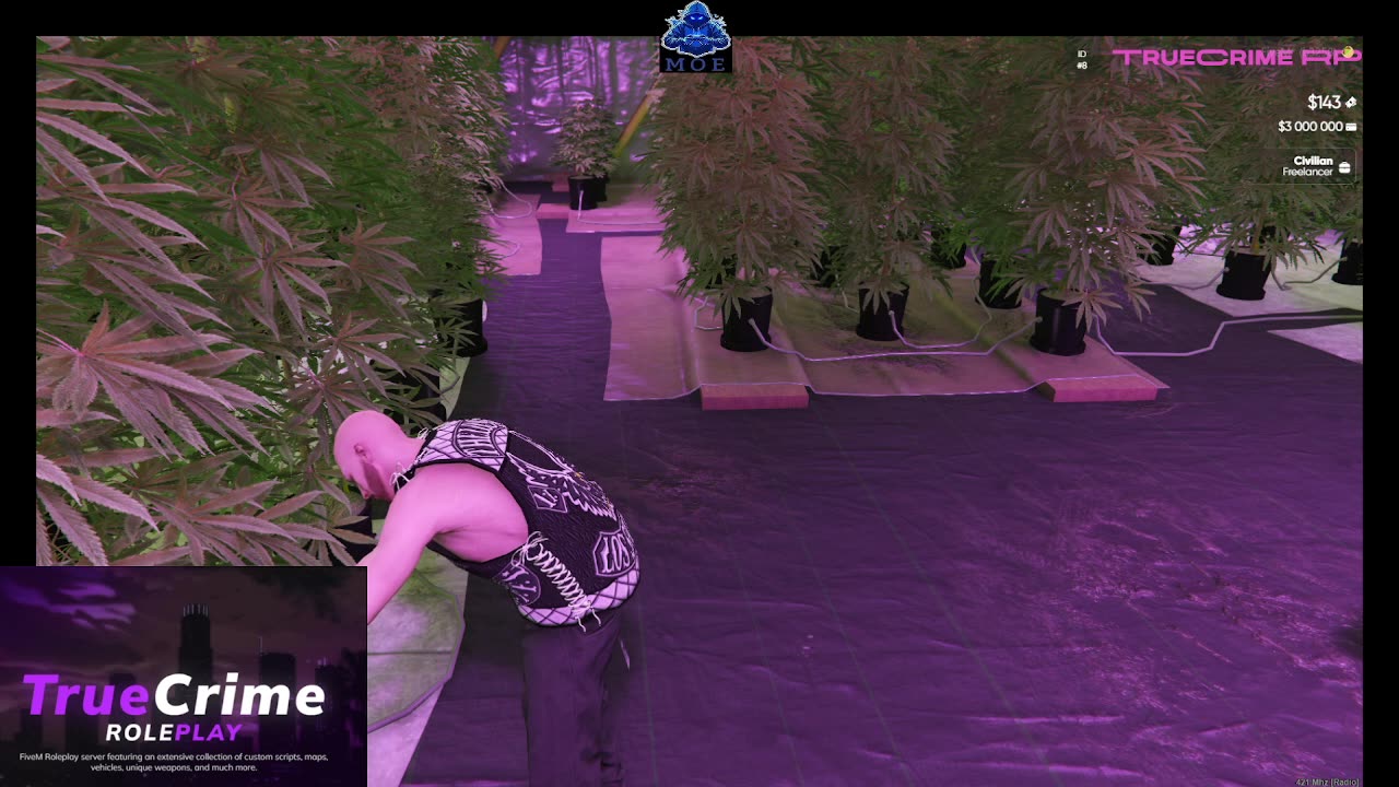 TRUE CRIME RP GTA FIVEM