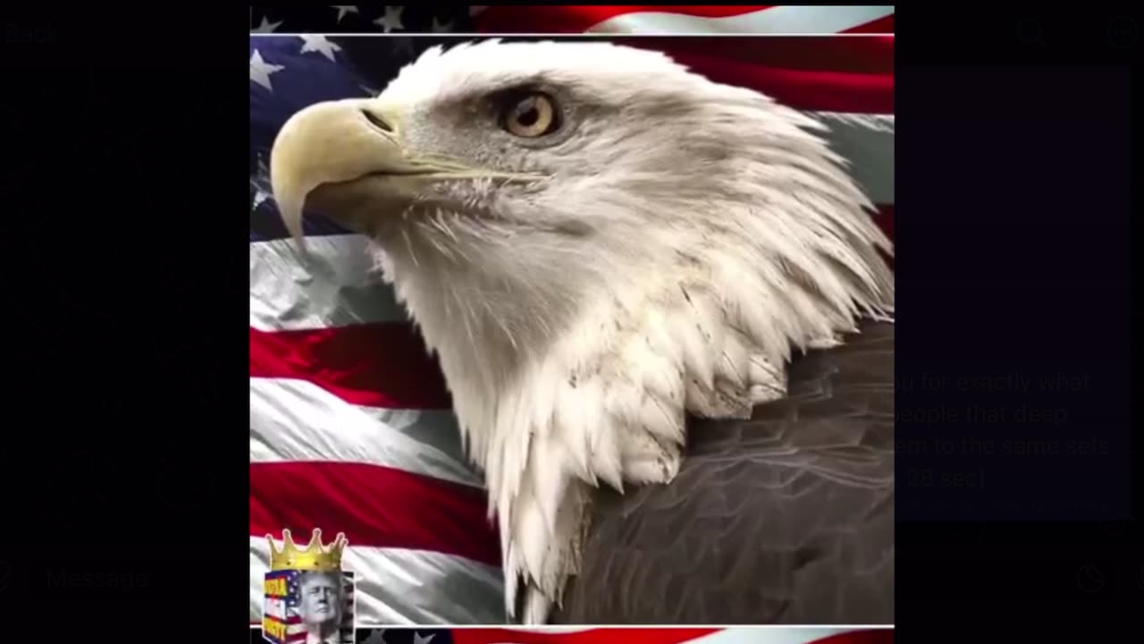 Bongino said it