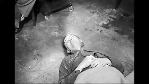 David Irving： The Life and Death of Heinrich Himmler Focal Point Productions (2012)