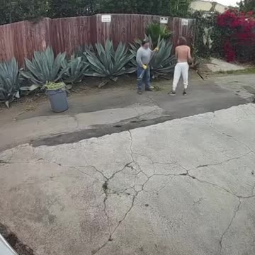 Brentwood Gardener Assaulted by Homeless Man, Faces Long Recovery