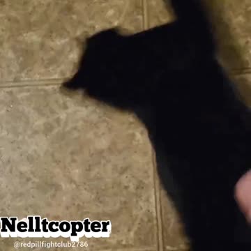 Nellycopter goes whrrrrrrrr!!!!