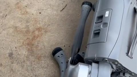 robot dog