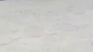 Bondi Beach Shooter Tackled by Hero – Watch the Arrest LIVE! | Roxom TV