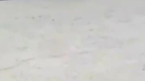 Bondi Beach Shooter Tackled by Hero – Watch the Arrest LIVE! | Roxom TV