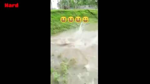 Try not to laugh hard