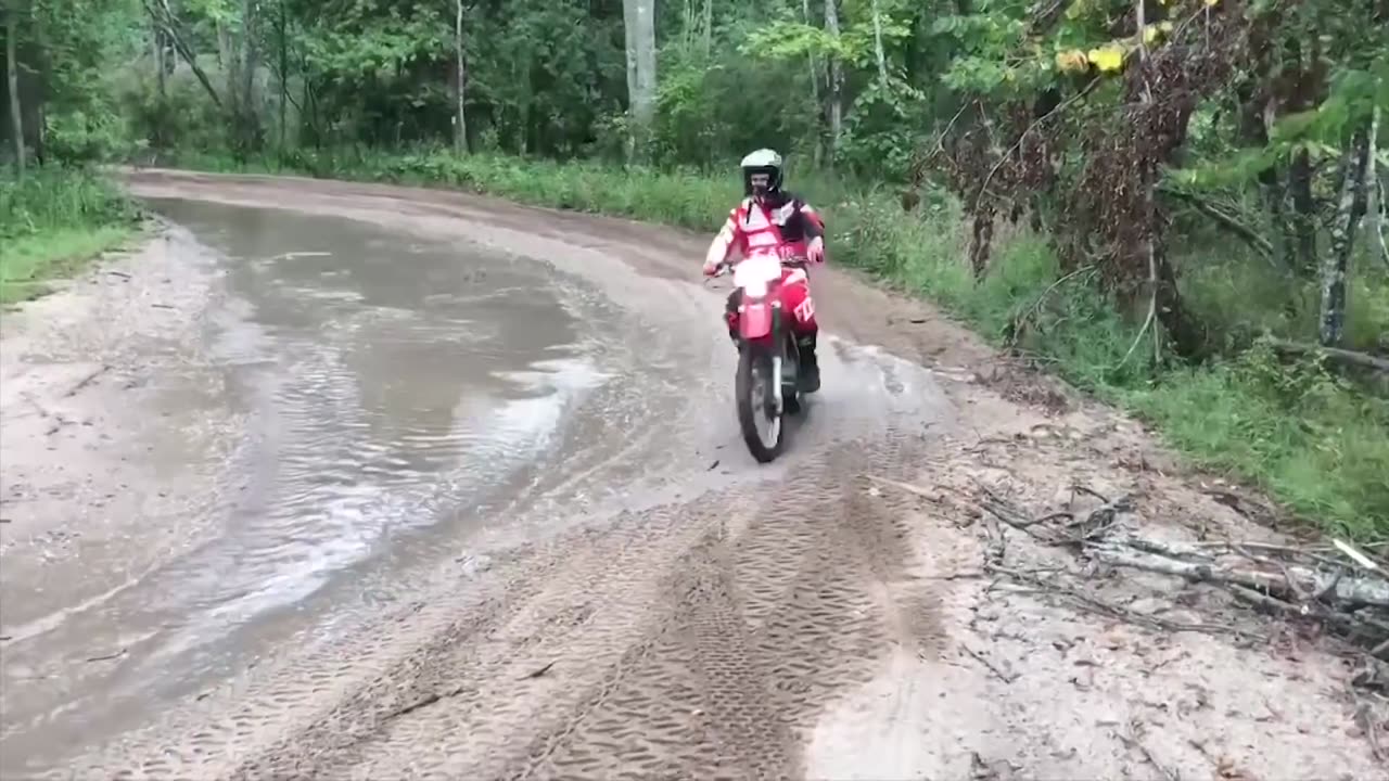 Funny Driving Fails 😂