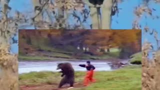 Peludo visitante 'supervisa' desde un árbol el trabajo de una fábrica