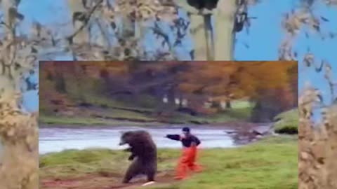 Peludo visitante 'supervisa' desde un árbol el trabajo de una fábrica