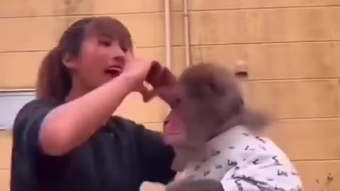 😂🐒 You Won't Believe What This Monkey Does Next! | FunFM
