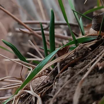 Hidden Secrets of Nature from a Close Perspective