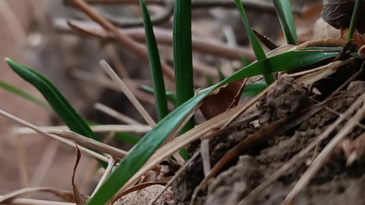 Hidden Secrets of Nature from a Close Perspective