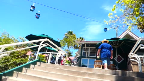 Humans soaring over the zoo...kind of