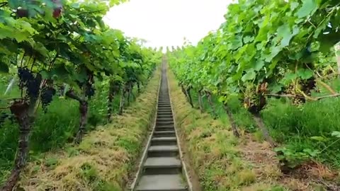Very Cool and Beautiful Countryside