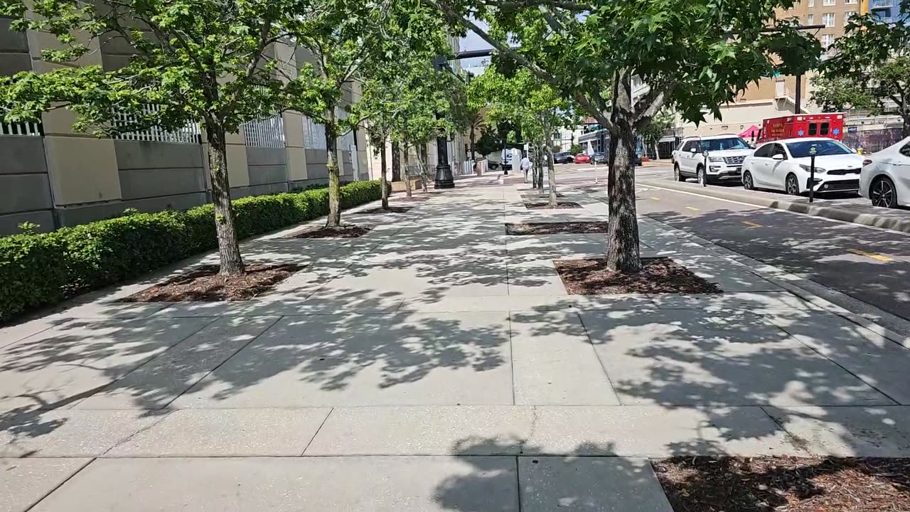POLICE ACTIVITY