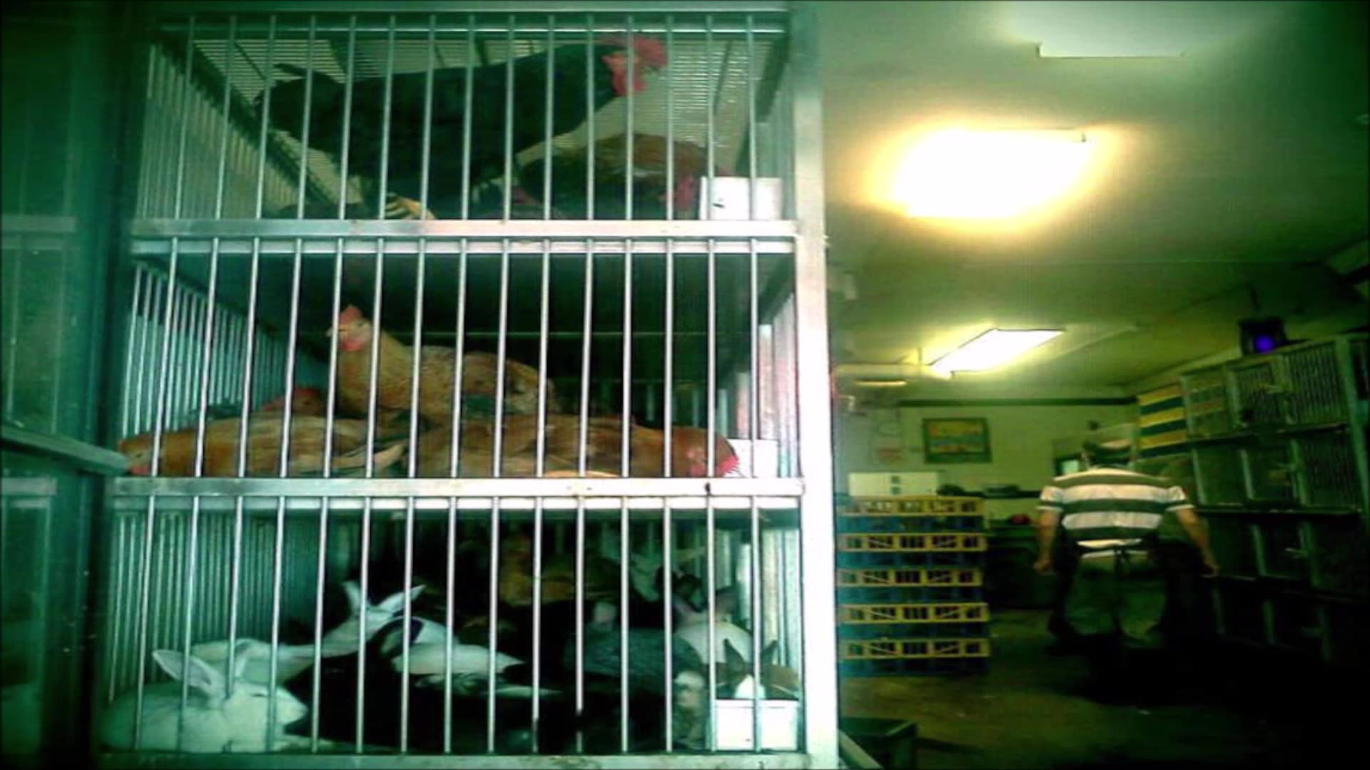 Kaylie Mae - Man - [Folk Rock/Americana]