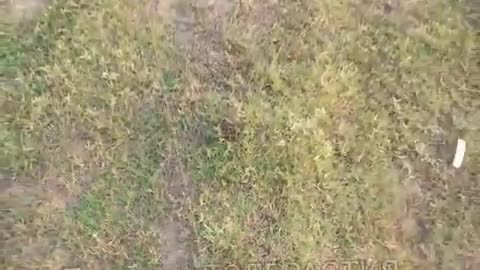 🛸🇷🇺 Ukraine Russia War | Rear View FPV of Fibreoptic Drone in Action | RCF