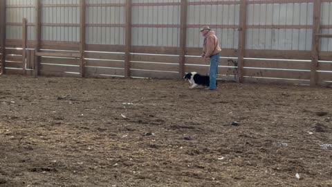 Charlie, 12/28/2025-4