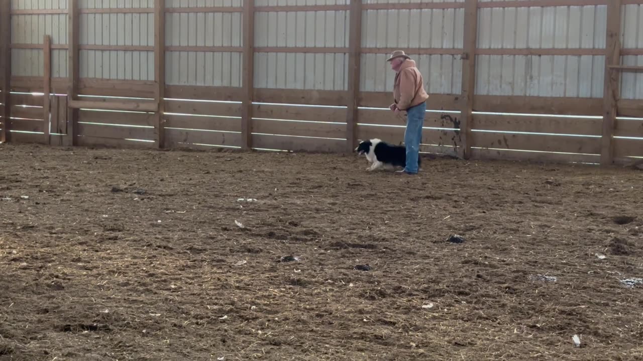 Charlie, 12/28/2025-4