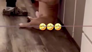 😂🙌 You Won't Believe What Happens Next! | FunFM