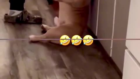 😂🙌 You Won't Believe What Happens Next! | FunFM