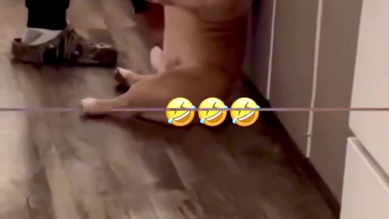 😂🙌 You Won't Believe What Happens Next! | FunFM