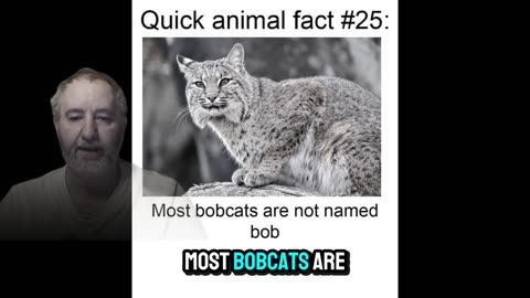 Some Are Named Jeff