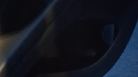 Car getting Low on Door Fluid