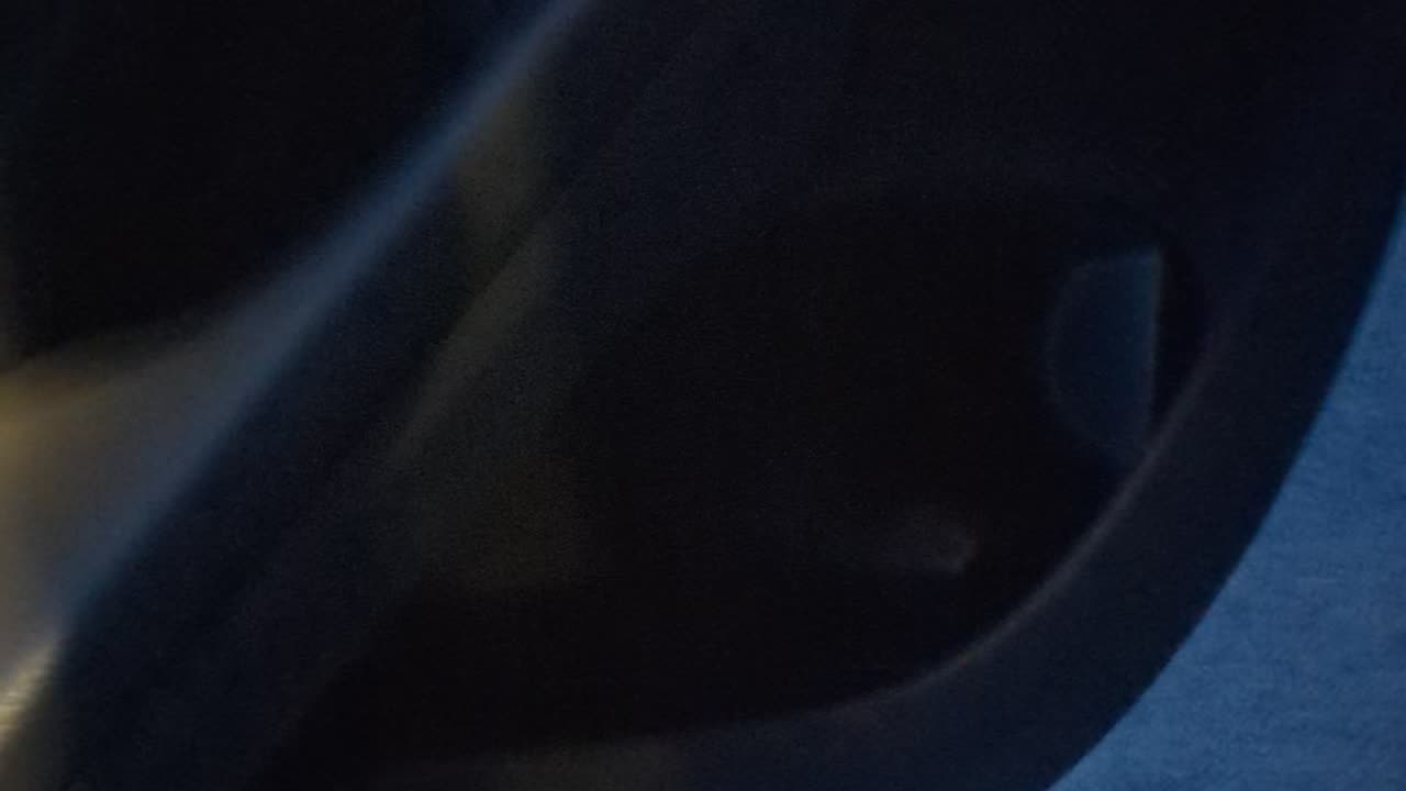 Car getting Low on Door Fluid