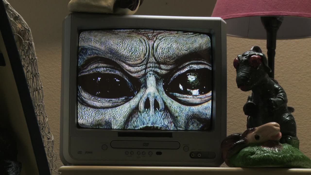 Scare.Zone.2009 film