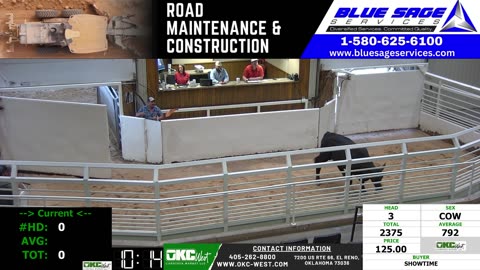 8/11/2025 - Cow & Bull Auction - OKC West