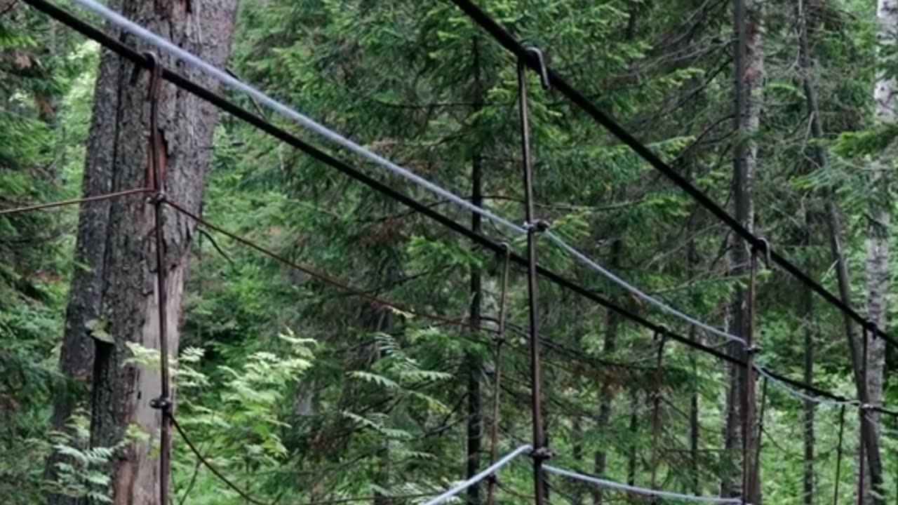 👁️‍🗨️ ¿Escaleras al vacío en medio del bosque?