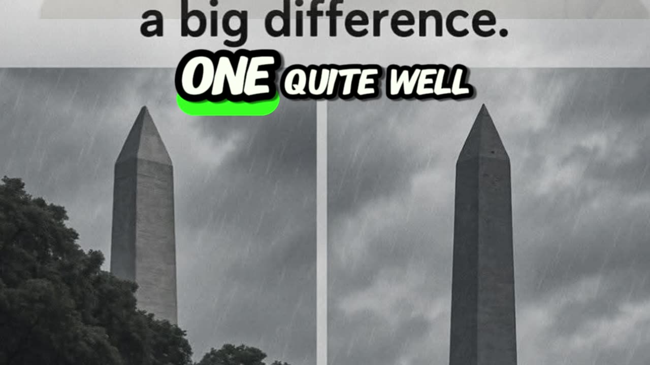 A Little Trim Improves the View