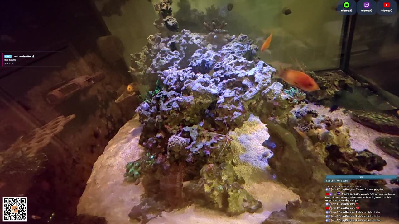 24/7 Real Live Reef Stream