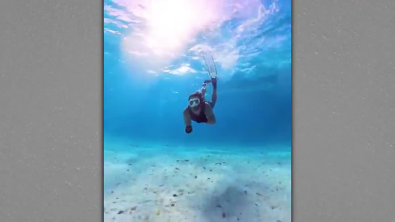 One in a Billion moments in Nature