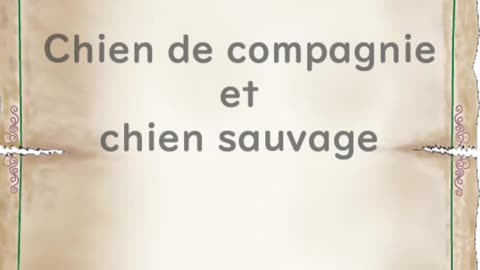 Chien de compagnie et chien sauvage - Huhito Fables-Version française Vol.34