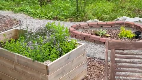 A Few Thoughts On Starting a Garden