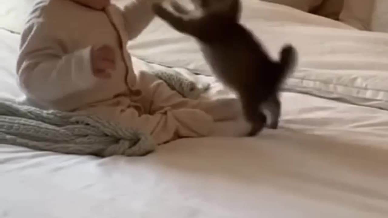 Happy friendship between kity and baby
