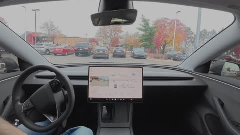 DoorDash Delivery FSD (Full Self Driving) Tesla